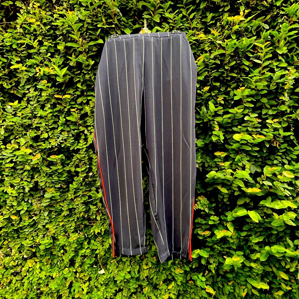 Anthropologie Pinstripe Pants with Elastic Waist